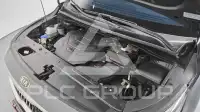 2019 KIA Carnival