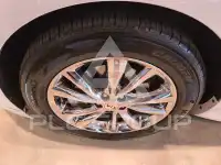 2019 KIA Carnival