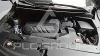 2019 KIA Carnival