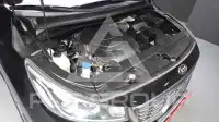 2019 KIA Carnival