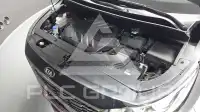 2019 KIA Carnival