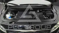 2019 KIA Carnival