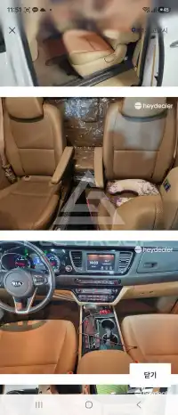 2019 KIA Carnival