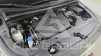 2019 KIA Carnival