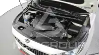 2019 KIA Carnival