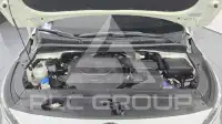 2019 KIA Carnival