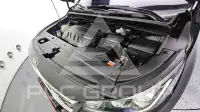 2019 KIA Carnival