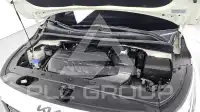 2019 KIA Carnival