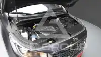 2019 KIA Carnival