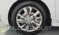 2019 KIA Carnival