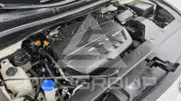 2019 KIA Carnival