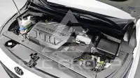 2019 KIA Carnival