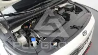 2019 KIA Carnival