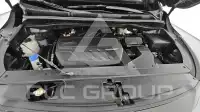 2019 KIA Carnival