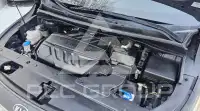 2019 KIA Carnival