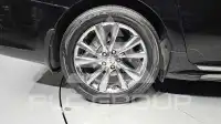 2019 KIA Carnival