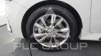 2019 KIA Carnival