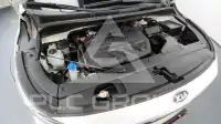 2019 KIA Carnival