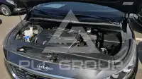 2019 KIA Carnival