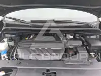2019 KIA Carnival