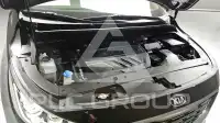 2019 KIA Carnival