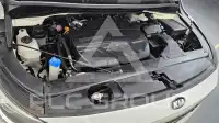 2019 KIA Carnival