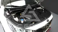 2019 KIA Carnival