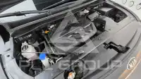 2019 KIA Carnival