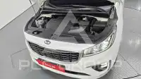 2019 KIA Carnival