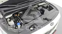 2019 KIA Carnival
