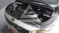 2019 KIA Carnival
