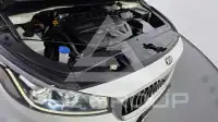 2019 KIA Carnival