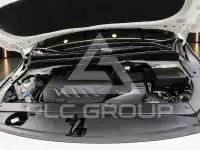 2019 KIA Carnival