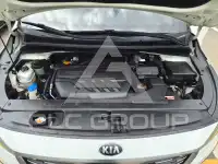 2019 KIA Carnival