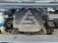 2019 KIA Carnival