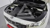 2019 KIA Carnival