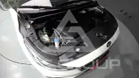 2019 KIA Carnival