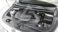 2019 KIA Carnival