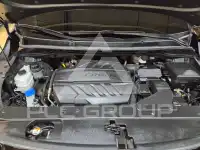 2019 KIA Carnival