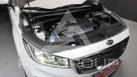 2019 KIA Carnival