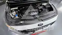 2019 KIA Carnival