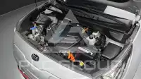 2019 KIA Niro
