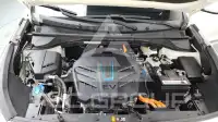 2019 KIA Niro