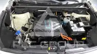 2019 KIA Niro