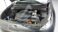 2019 KIA Niro