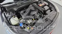 2019 KIA K3
