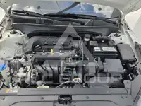 2019 KIA K3