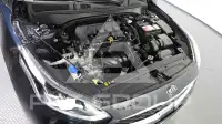 2019 KIA K3