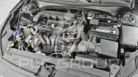 2019 KIA K3