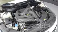 2019 KIA K5